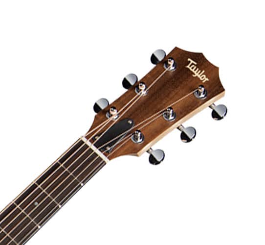 Taylor BBT Headstock